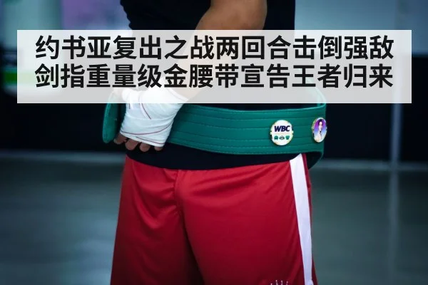 约书亚复出之战两回合击倒强敌 剑指重量级金腰带宣告王者归来