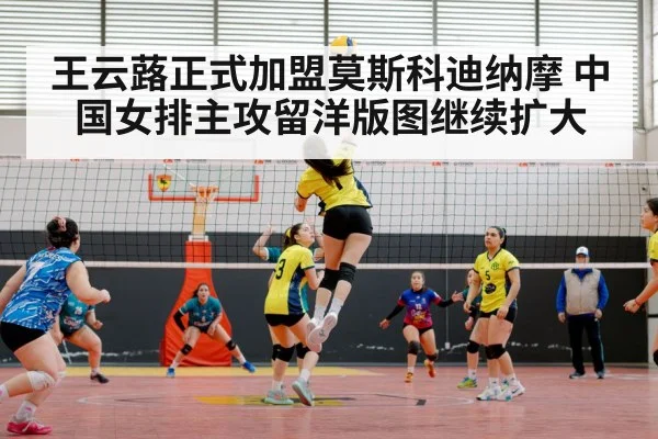 volleyball match arena